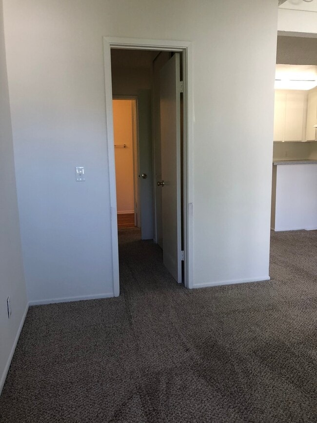 Interior Photo - Spring Tree Apartments