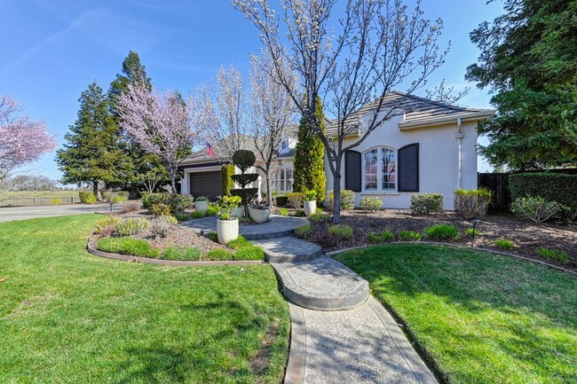 Building Photo - Stunning luxury single story home!