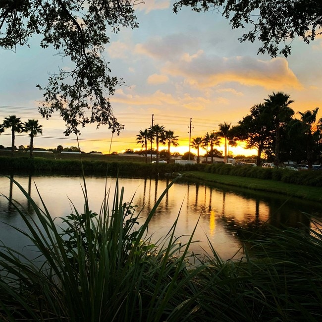 Building Photo - Harbour Cay