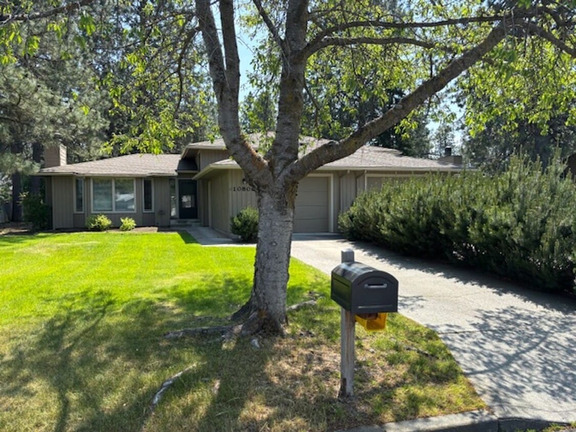 Primary Photo - 1126