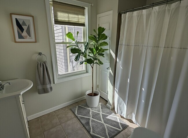 Building Photo - 16 Melbourne St