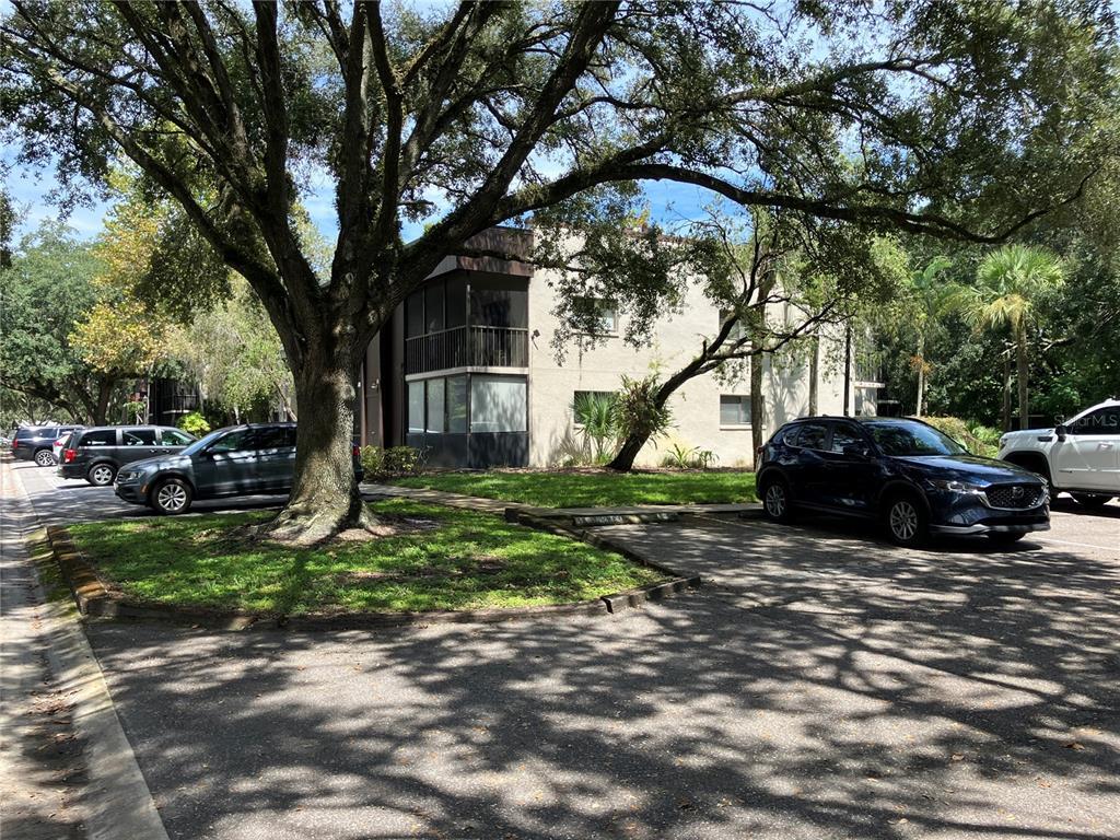 Primary Photo - 11703 Raintree Village Blvd