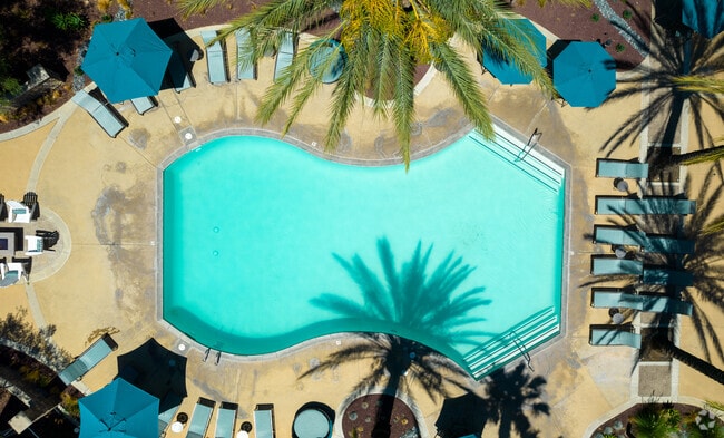 Pool - The Heights at Chino Hills