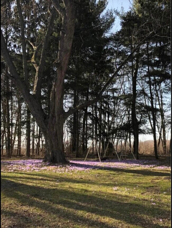 Foto del edificio - 8939 Pecor St