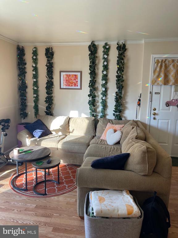 Building Photo - 14 Coral Tree Ct