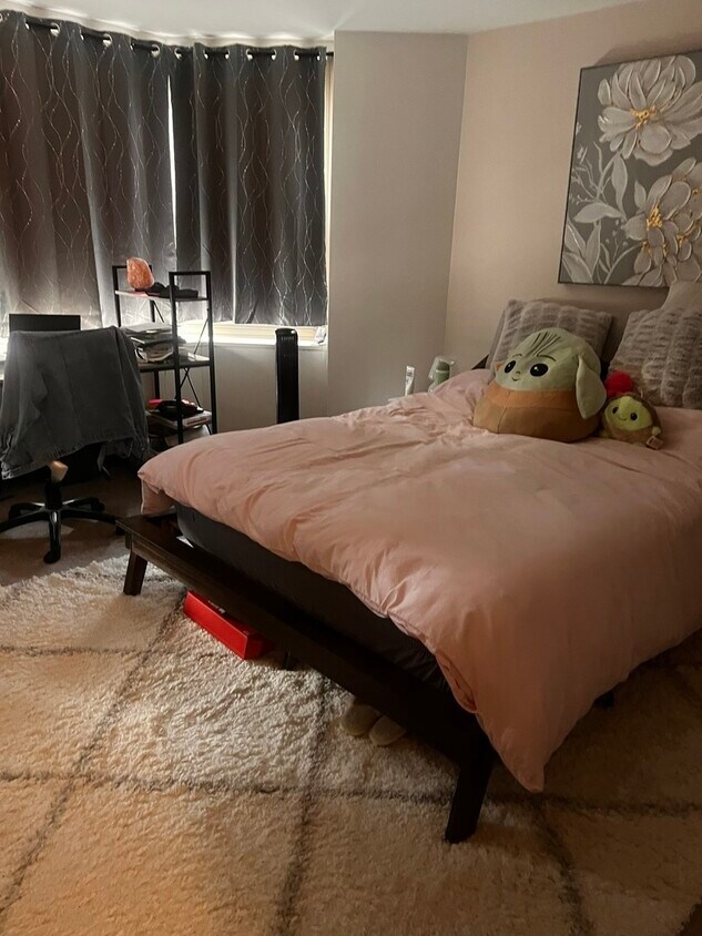 Foto del edificio - 535 N Michigan Ave