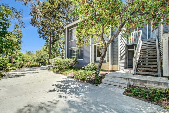 Building Photo - 25335 Pine Creek Ln