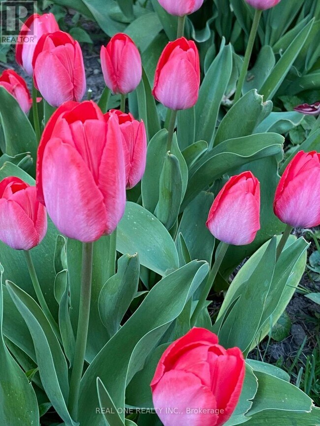 Building Photo - 22 Princeway Dr