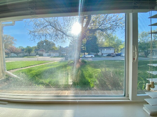 Foto del edificio - 11540 Sandy Creek Dr