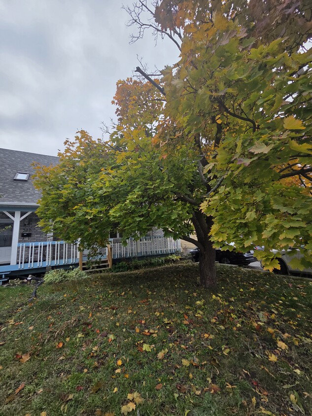 Primary Photo - 316 Rue Pierre-Lafontaine