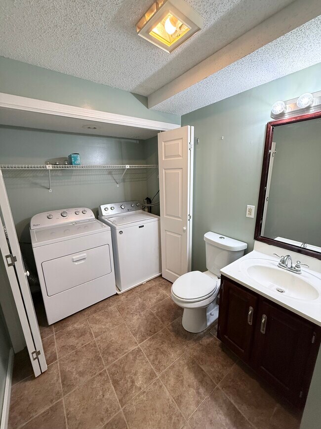 Basement bath - 296 Bartemus Trl