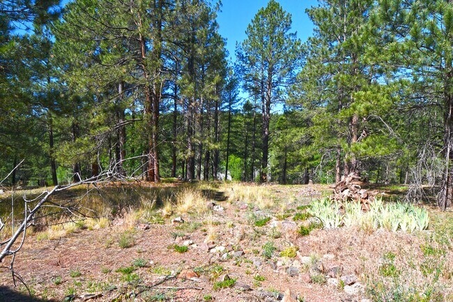 Foto del edificio - 2678 Mesa Trail