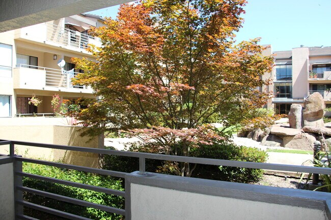 Foto del edificio - 39206 Guardino Dr