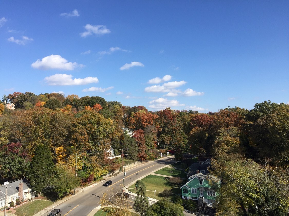 1815 William Howard Taft Rd, Cincinnati, OH 45206 Condo for Rent in