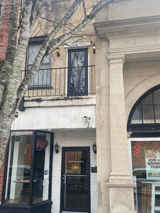 Fully Furnished Downtown Apartment House Rental in Wilmington, NC