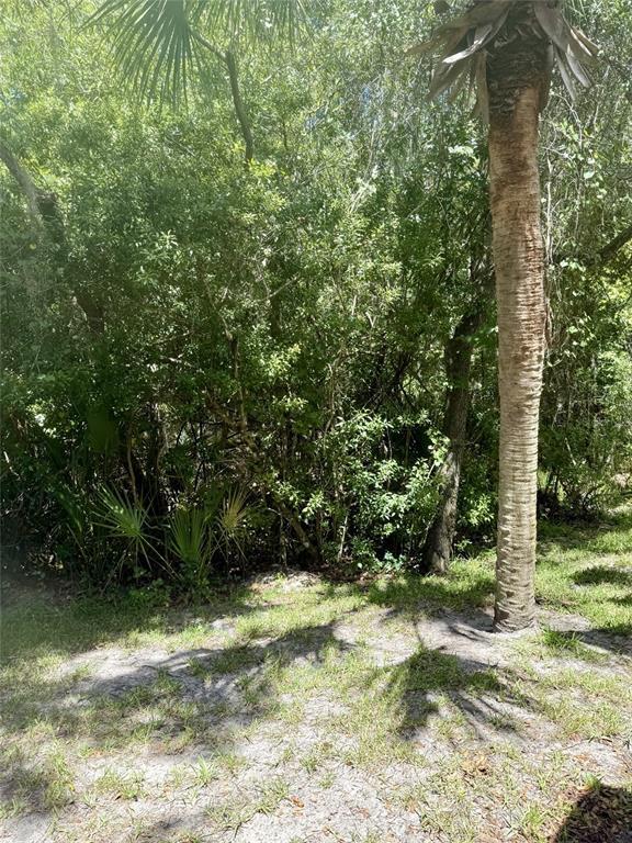 Foto del edificio - 16322 Parkstone Palms Ct