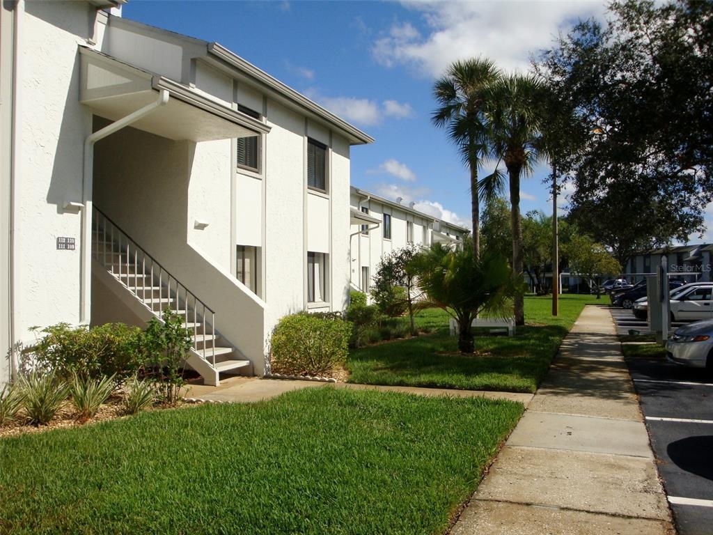 111 E Cypress Ct, Oldsmar, FL 34677 Condo for Rent in Oldsmar, FL