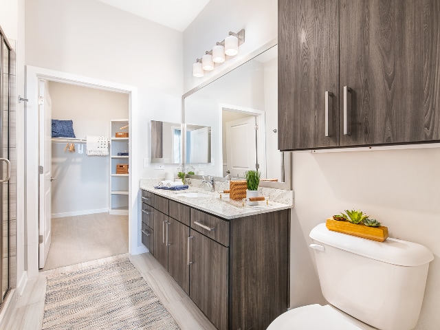 Ornate Bathroom - Overture Greenville	 55+ Active Adult Apartment Homes