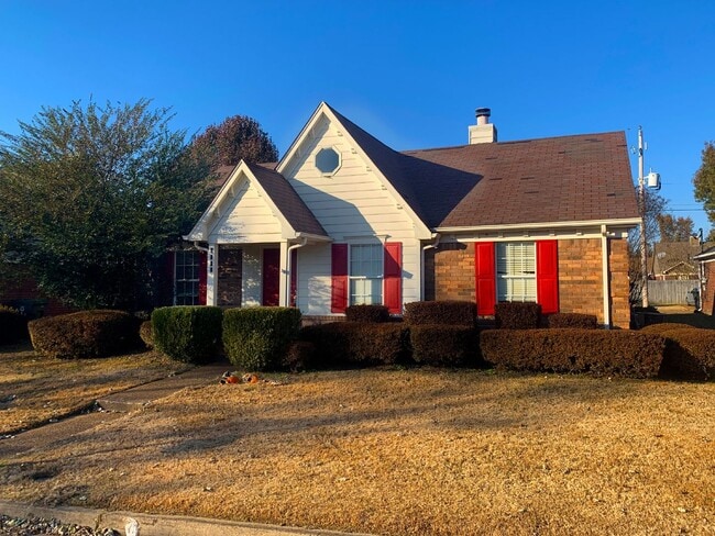 Photo - Available now House