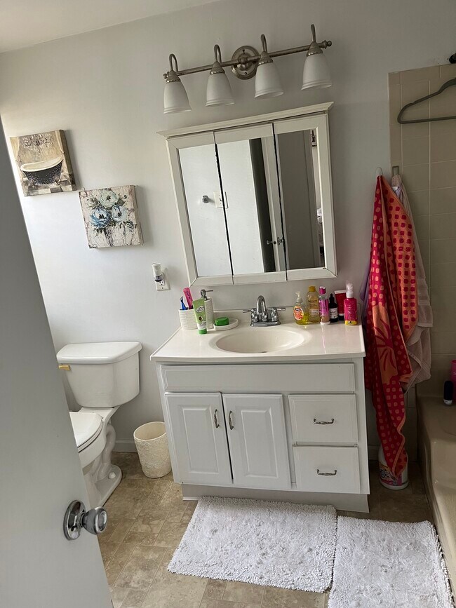 Full bathroom tub and shower - 229 Meadow Ridge Rd