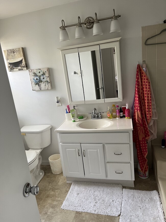 Full bathroom tub and shower - 229 Meadow Ridge Rd