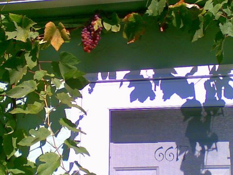 Foto del edificio - 6619 SE 58th Avenue