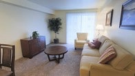 This single-floor space offers a cozy and well-appointed living room as its central feature. The room is finished with wall-to-wall carpeting in a neutral beige tone, contributing to a warm and comfortable atmosphere throughout. Soft, cream-colored walls provide a clean backdrop that enhances the sense of openness and light.

A large window fitted with vertical blinds serves as a prominent architectural feature, allowing natural light to filter generously into the space while offering privacy control. The window creates a bright focal point along one wall and contributes to the airy feel of the room.

The living area is thoughtfully arranged with a sofa and a matching armchair in a complementary cream upholstery, centered around a round, dark-wood coffee table that adds a classic contrast to the lighter palette. A dark-wood sideboard along one wall provides functional storage and display space, accented by small decorative plants that introduce a touch of greenery. A floor lamp positioned near the seating area offers supplemental ambient lighting. Overall, the space presents a clean, understated, and livable environment.