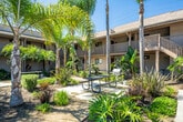 Located at 1939 Wallace Ave in Costa Mesa, California, this outdoor courtyard space serves as a central communal area framed by a two-story residential building. The courtyard is defined by its vibrant tropical landscaping, featuring tall, mature palm trees, broad-leafed banana plants, agaves, and a variety of shrubs and ground-level plantings that create a lush, resort-inspired atmosphere. Concrete walkways wind through the greenery, connecting the various areas of the courtyard and providing easy navigation throughout the grounds. Outdoor picnic tables with metal mesh surfaces offer comfortable communal gathering spots bathed in abundant Southern California sunshine. A gas BBQ grill is conveniently positioned within the courtyard, making the space well-suited for outdoor dining and social gatherings. The surrounding building features covered balconies and walkways that overlook the courtyard, contributing to a sense of community and openness. A separate low-profile structure, likely a utility or amenity building, is visible at the edge of the property. On-site parking is accessible from the perimeter, and the overall grounds are well-maintained with neatly trimmed hedges and planted borders. The consistently clear blue skies and warm climate of coastal Orange County enhance the inviting, relaxed character of this outdoor space.