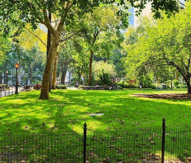 Madison Square Park provides a shady retreat in the district