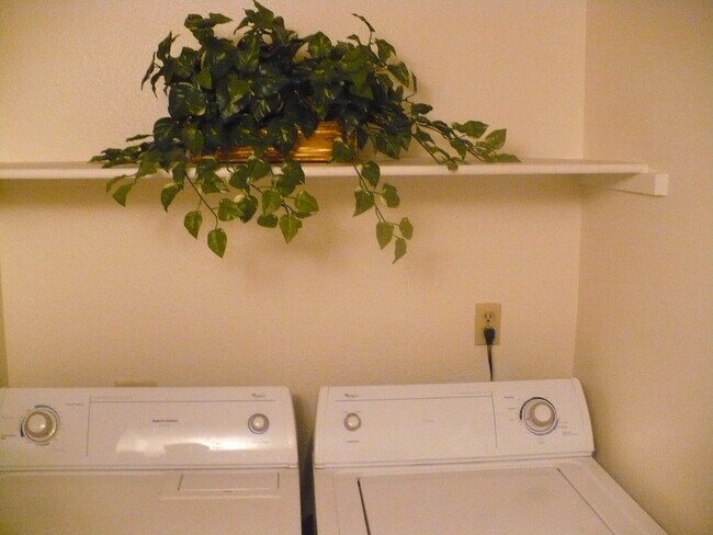 Washer and Dryer in Downstairs Bath - 3714 Oro Blanco Dr