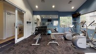 Located at 3515 S Nelson Cir in Denver, Colorado, this fitness center offers a well-appointed, single-floor exercise facility designed to support a comprehensive workout experience. The space is finished with durable patterned carpet flooring and features bold blue accent walls complemented by crisp white trim, creating an energizing yet focused atmosphere.

The main workout area is generously equipped with a range of cardio machines, including treadmills, an elliptical trainer, and a stationary bike, all positioned near large windows that invite natural light and offer views of the surrounding greenery. Multiple wall-mounted flat-screen televisions are positioned throughout the space for entertainment during workouts.

A full rack of dumbbells and adjustable weight benches provide ample options for strength training, while a multi-functional cable machine supports a variety of resistance exercises. A medicine ball and additional accessories round out the free weights section. Large mirrors span one wall, enhancing the sense of openness and allowing users to monitor their form.

Recessed lighting illuminates the space evenly, and vaulted ceilings in portions of the room add to the airy feel. An adjoining corridor connects to additional amenities, and the overall layout ensures a functional, organized flow throughout the facility.