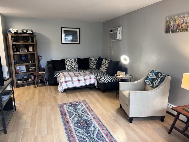 Living room/bedroom area - 1770 Bryant Ave S