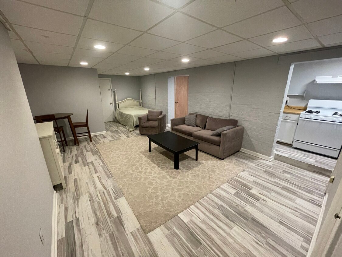 Living Room/Bedroom - 815 Hollins St