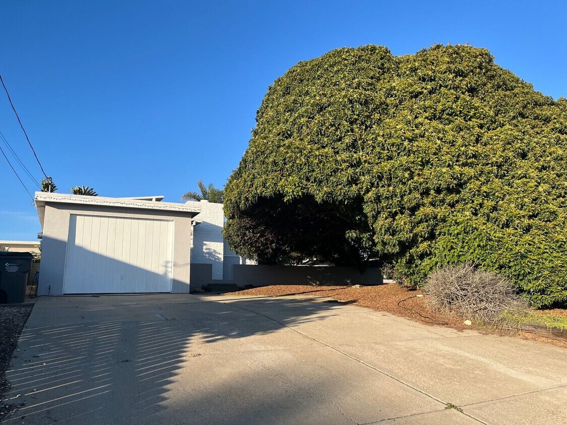Primary Photo - 1093 Brighton Ave