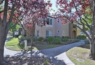 Building Photo - 635 Celebration Ct