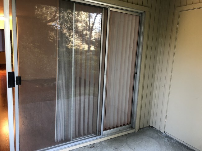 patio - 505 Cypress Point Dr