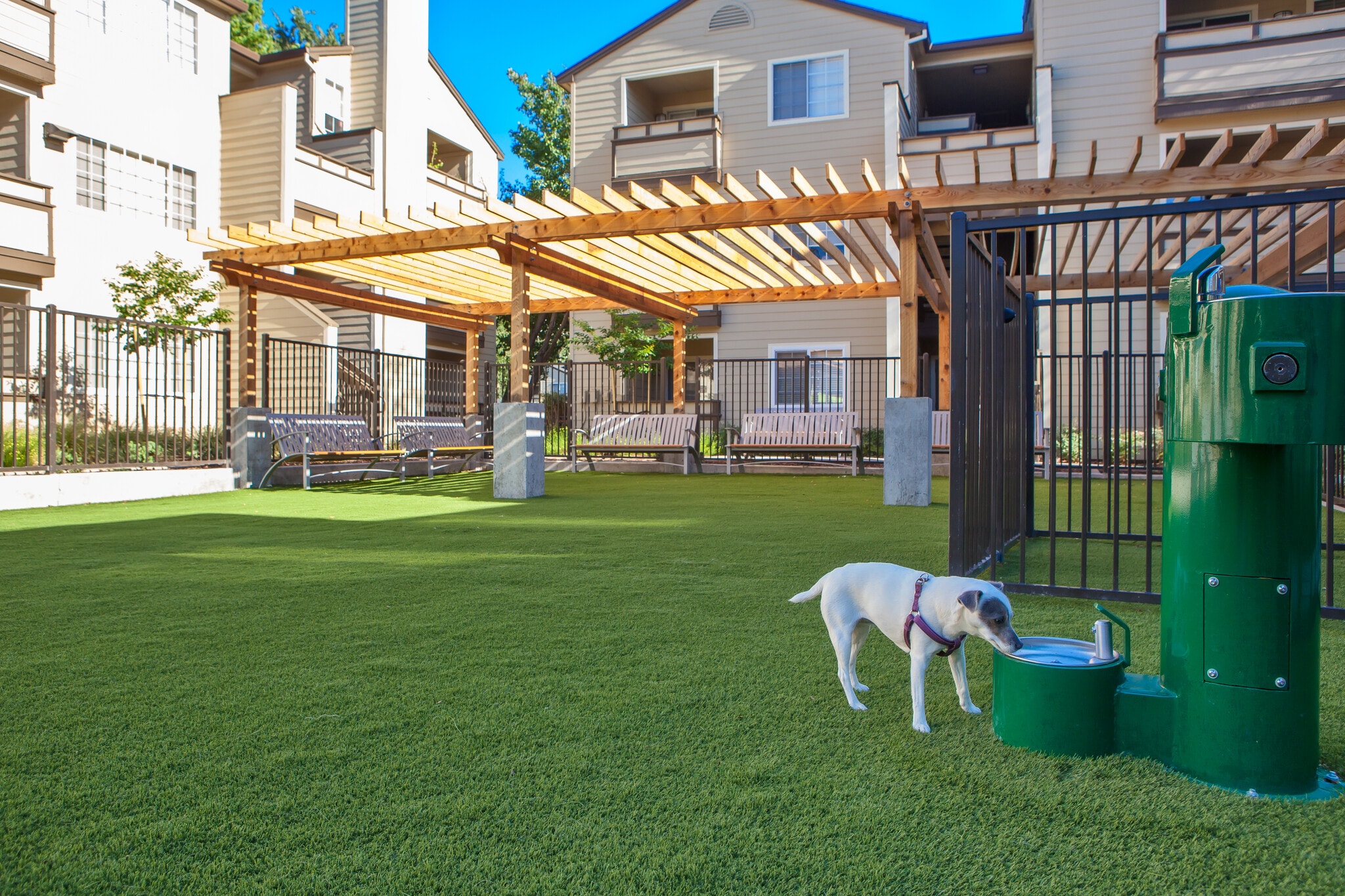 eaves Walnut Creek — WAG Pet Park
