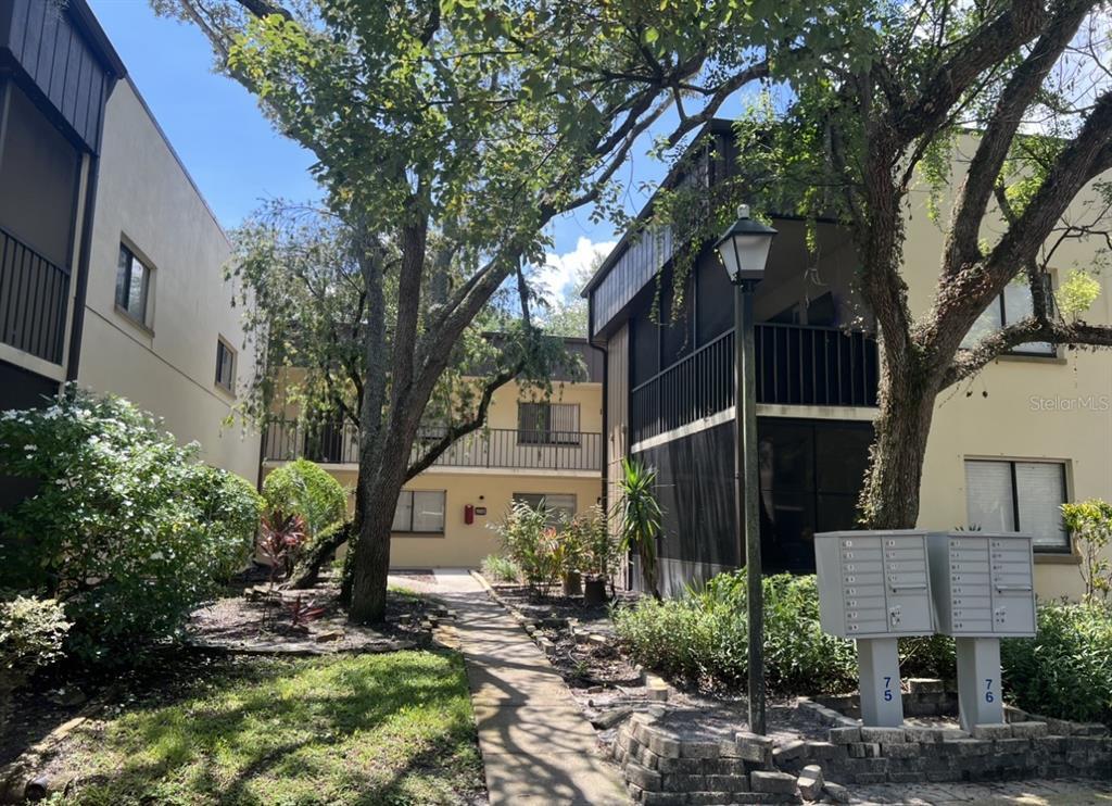 11801 Raintree Lake Ln Unit B, Tampa, FL 33617 Condo for Rent in