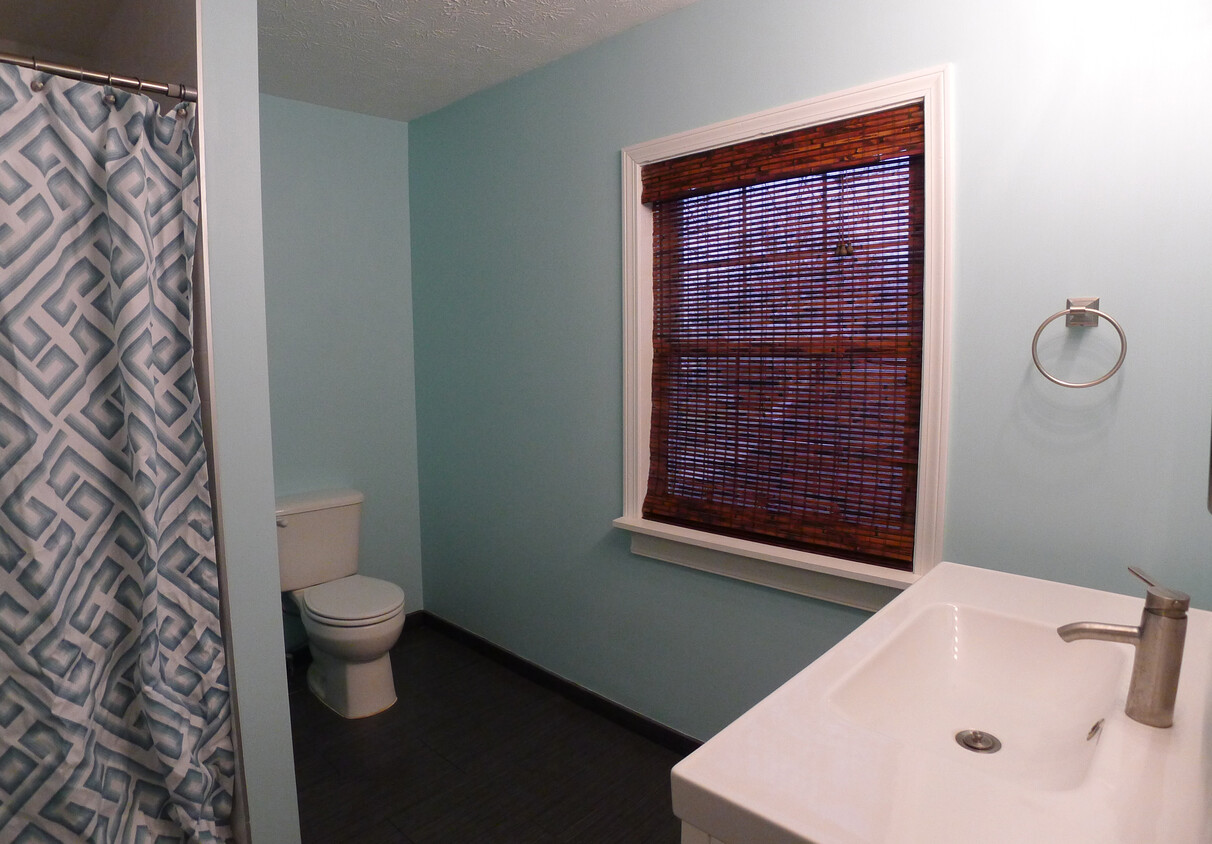 Upstairs designer bathroom. - 524 East Brandeis Avenue