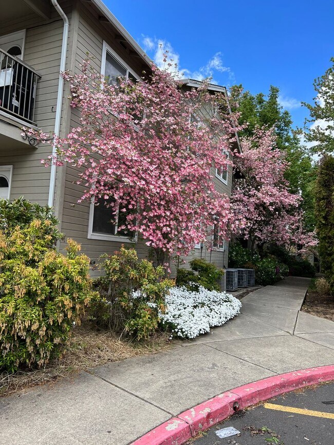 Foto del edificio - 3163 Juniper Ridge Dr