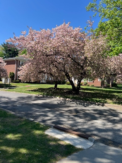 Building Photo - Brooklawn Gardens