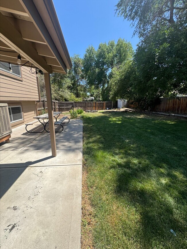 backyard - 5879 S Oak St