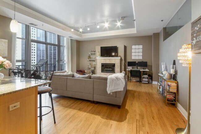 Building Photo - 2 bedroom in Chicago IL 60606