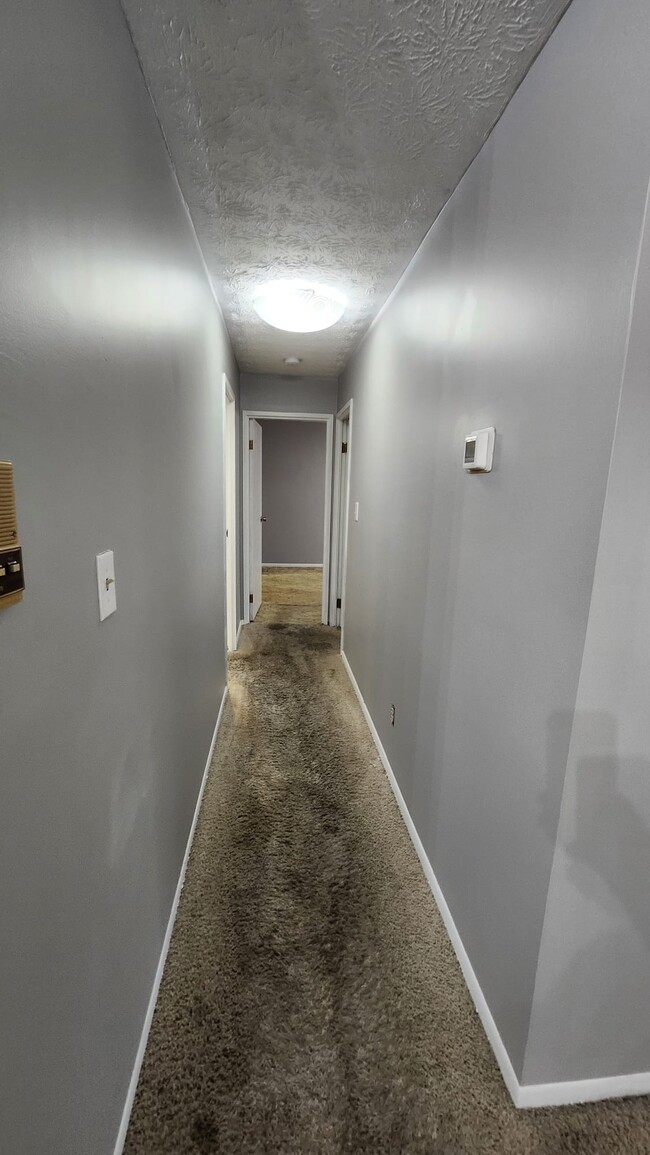 Building Photo - 2431 Mustang Dr