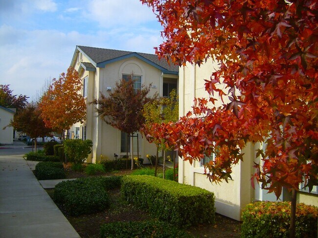 Foto del edificio - Rose Garden Senior Apartments