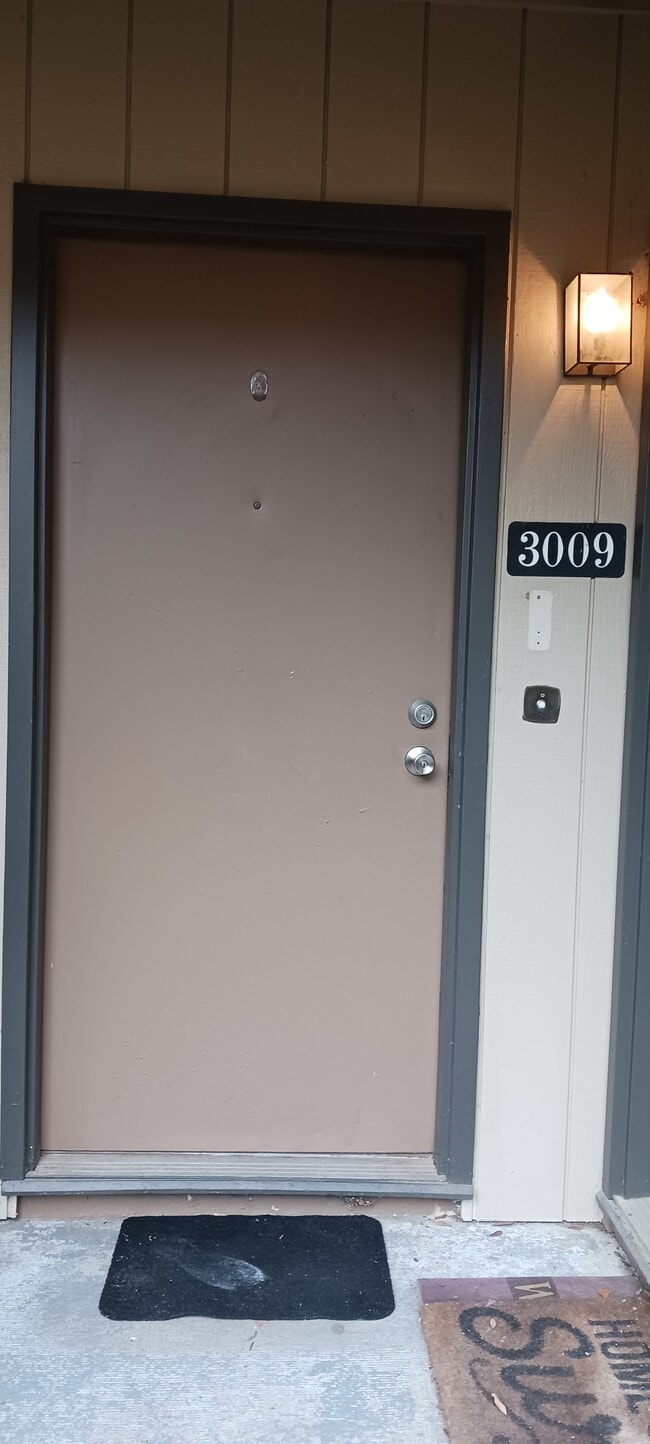 Puerta principal - 3009 Huntleigh Dr