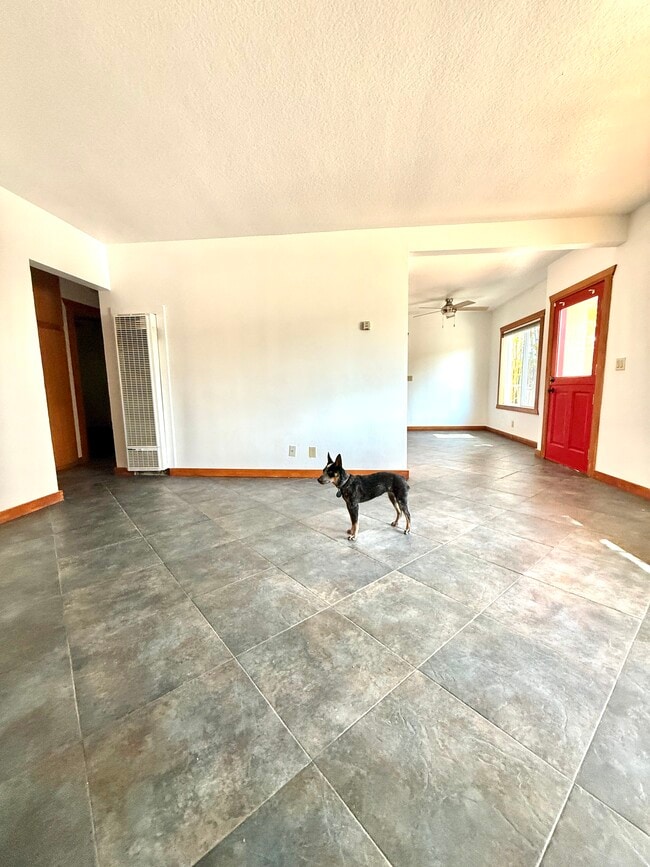 Living Room - 2626 Delaware St