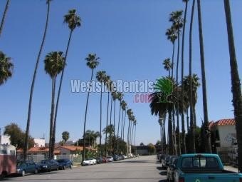 Foto principal - 1534 Euclid St