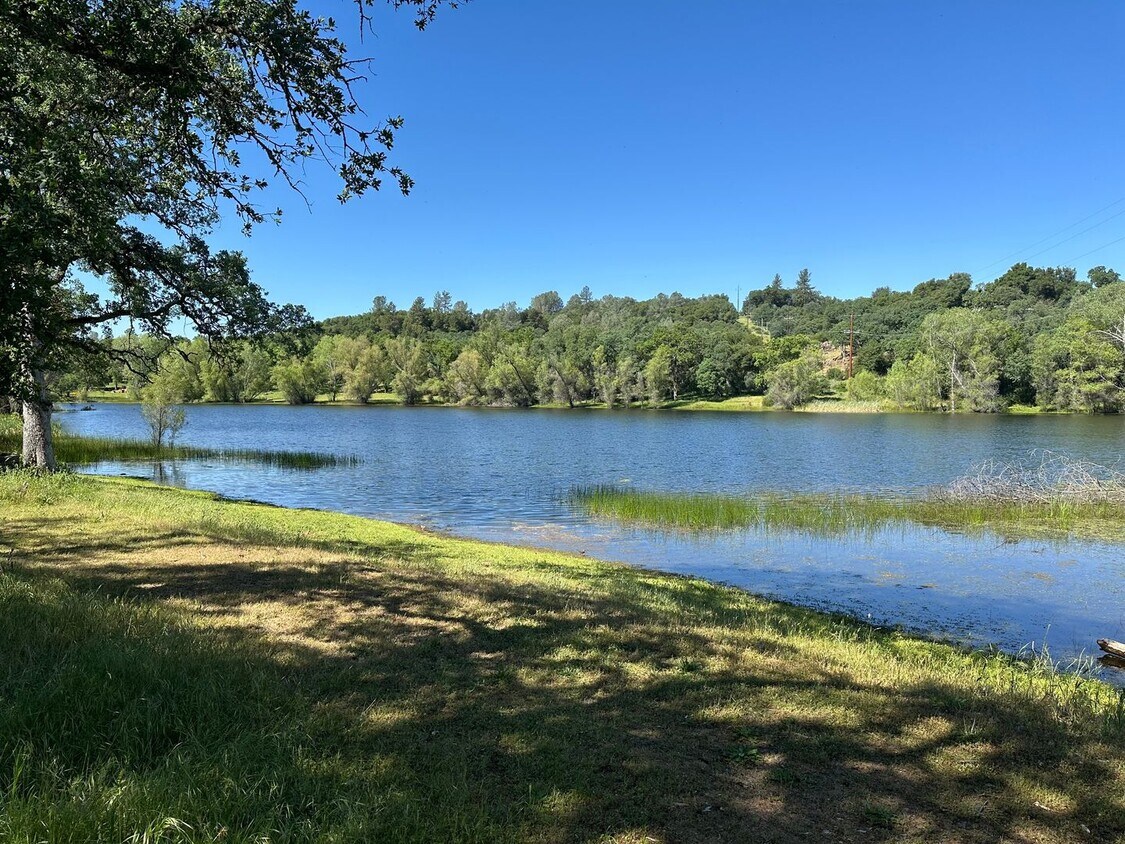 Foto principal - Gorgeous lakeside home on acreage in Shing...