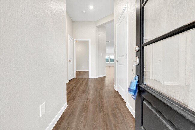 Foto del edificio - 30023 Vallonea Oak